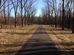 This is NOT a treadmill