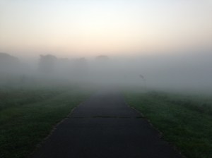 Scenes from my morning run