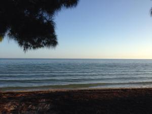 1476283_10151864615979895_866165144_n