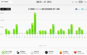 Janaury 2014 - Nike+ Summary