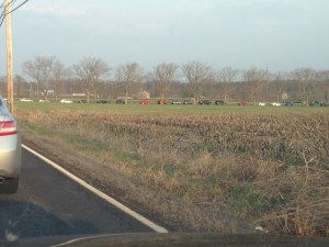 This was the line inside the park waiting to park