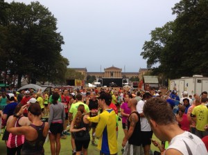 Busy morning looking back along corrals