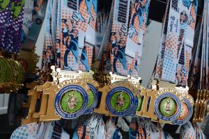 Goofy Challenge 10th Anniversary Medal