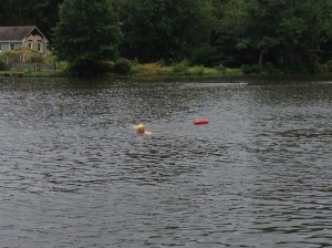 Some folks taking part in the open swim that was available before the race the next day.