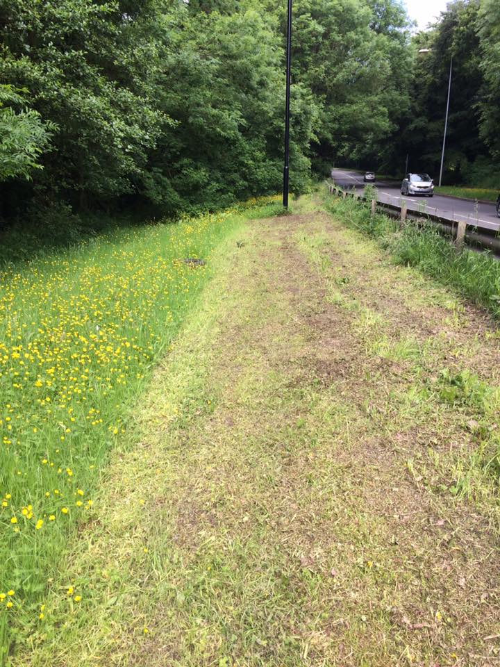 I could have planned a better route...