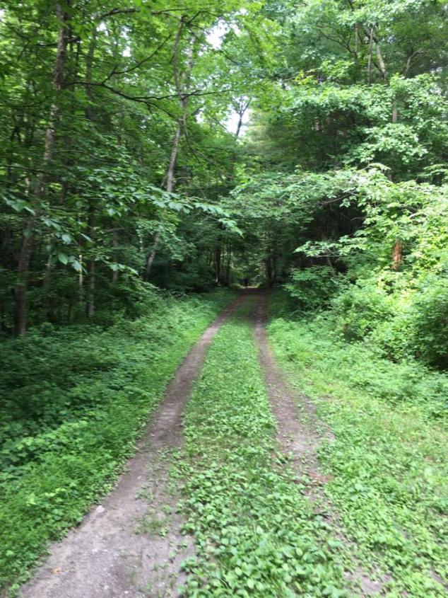 13529045_10153840008094895_5385668551536486980_n